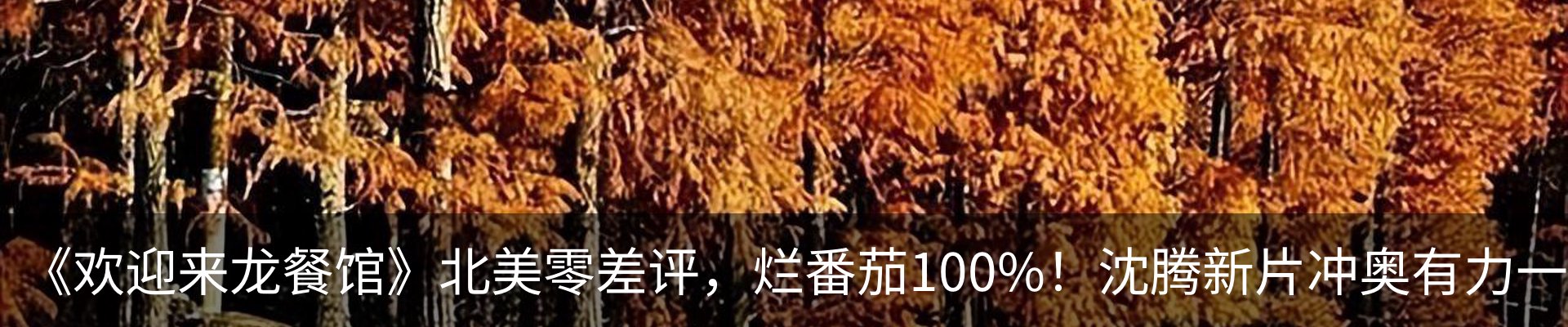 最新动态