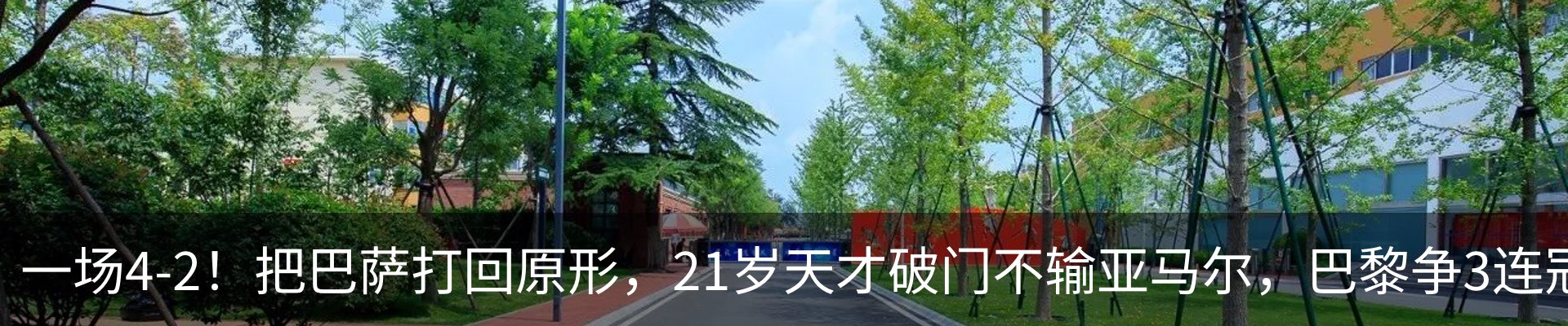 最新动态