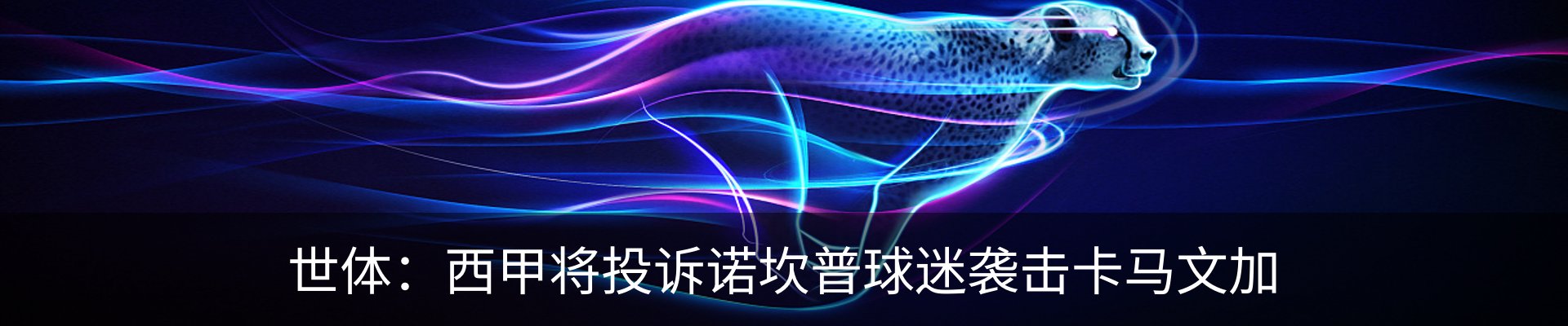 最新动态