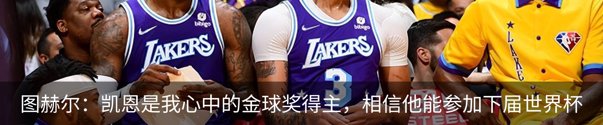 最新动态
