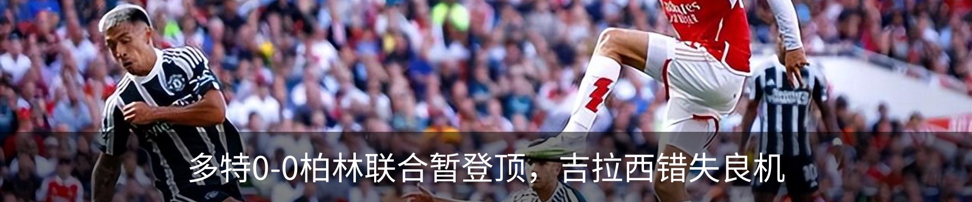 最新动态