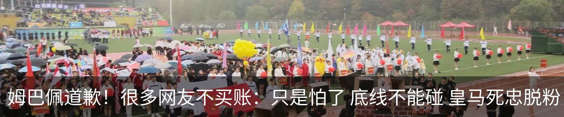 最新动态