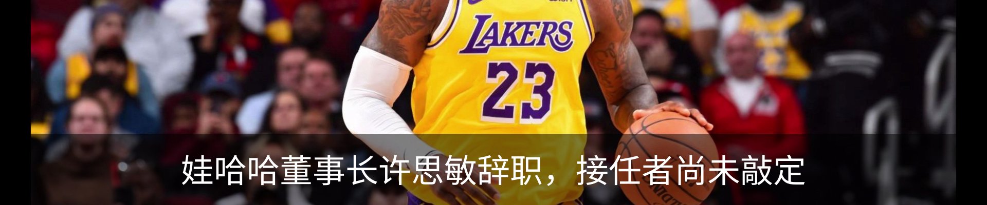 最新动态