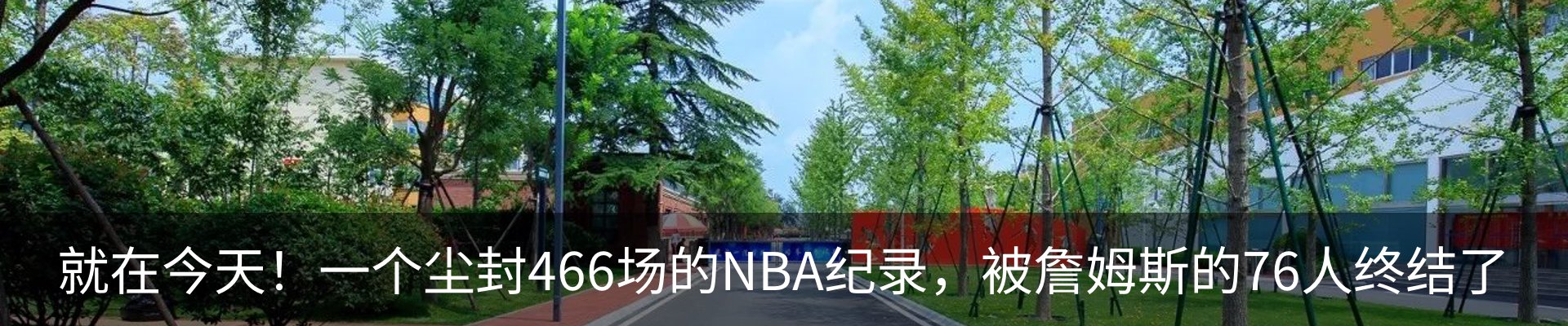 最新动态