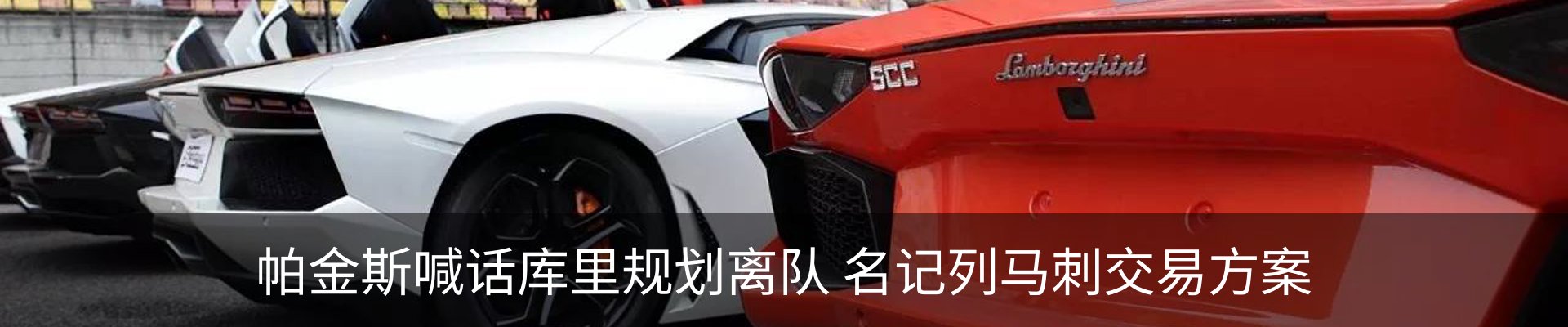 最新动态