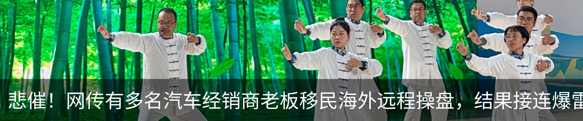 最新动态