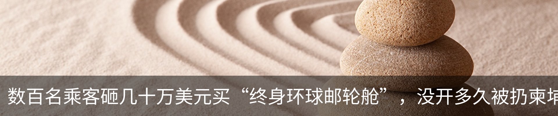 最新动态
