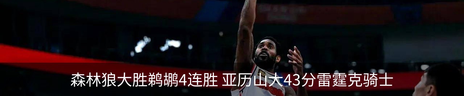 最新动态