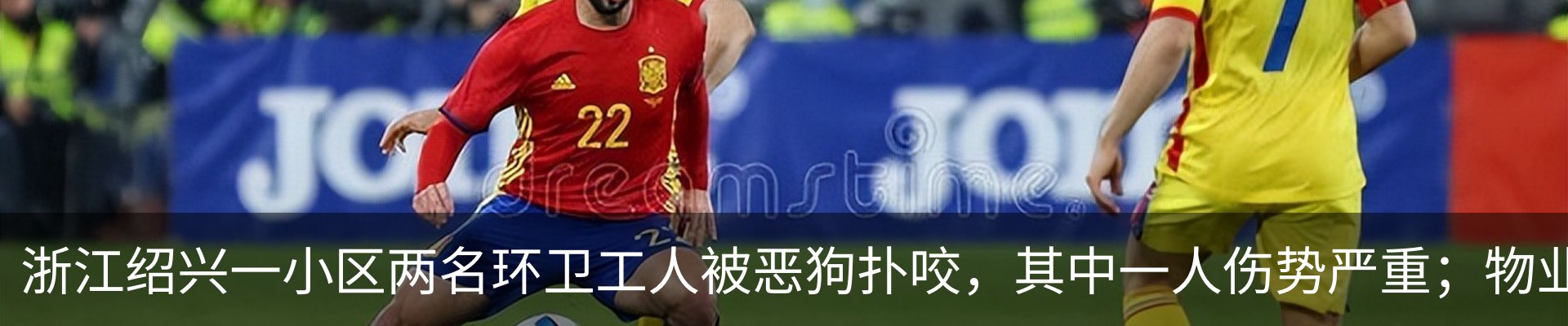 最新动态