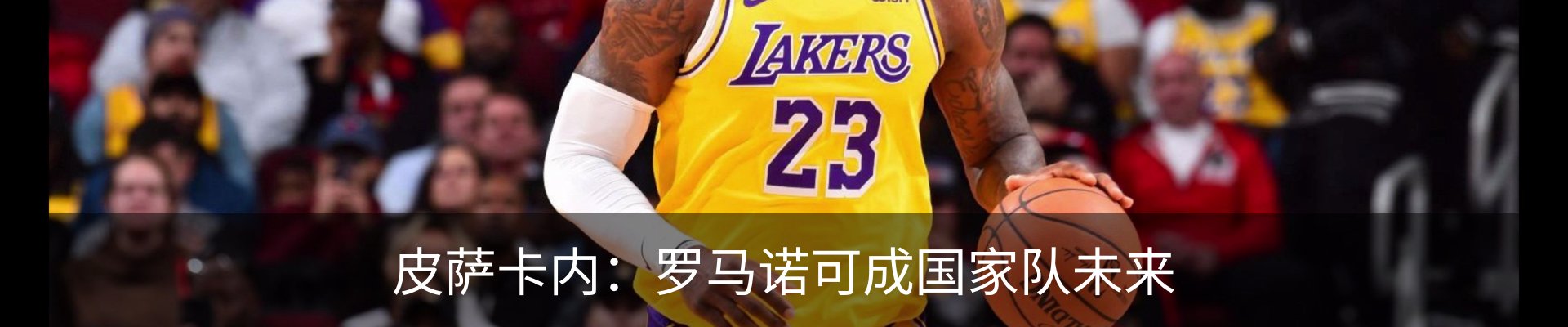 最新动态