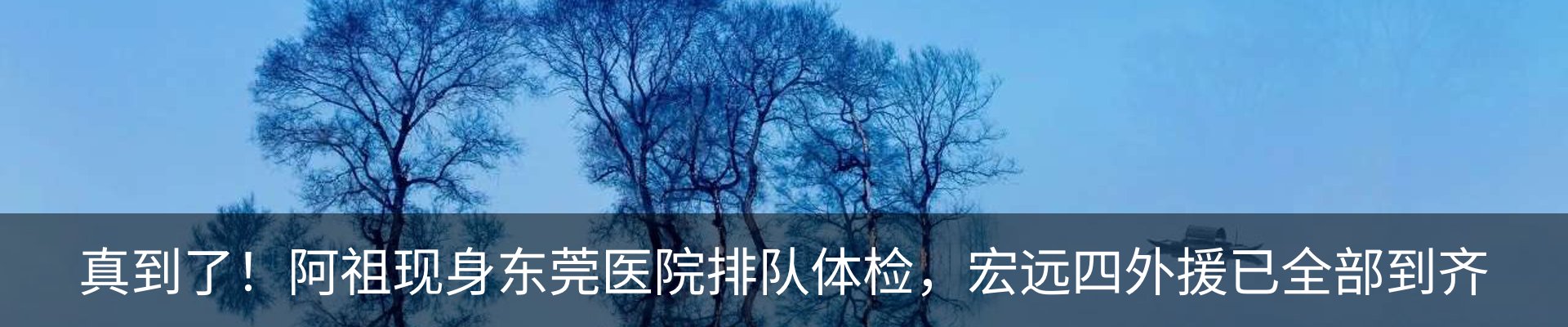 最新动态