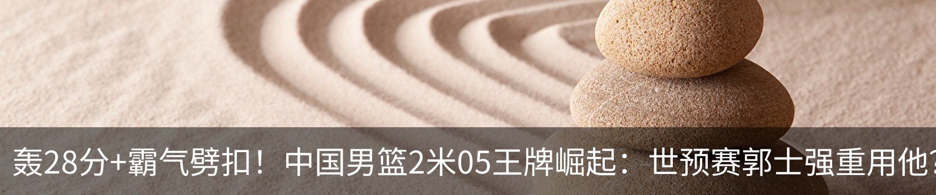 最新动态