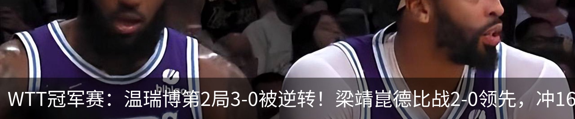 最新动态